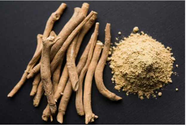 La recherche sur l'ashwagandha continue d'évoluer au fur et à mesure que les scientifiques du monde entier étudient son efficacité contre diverses affections.
