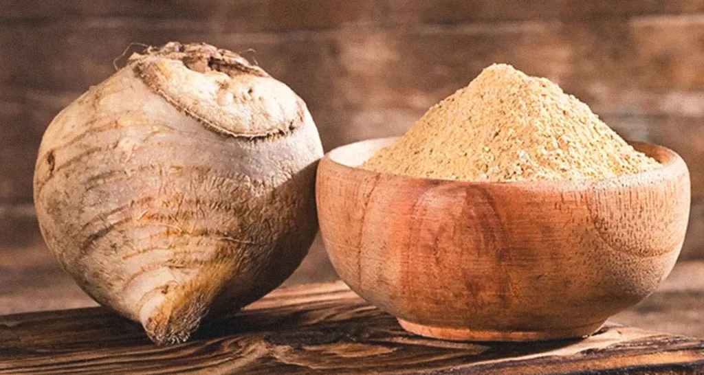 La maca est traditionnellement connue comme une racine revigorante comportant de nombreux bienfaits