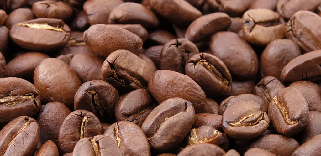 La combinaison de la L-Tyrosine avec la caféine peut améliorer considérablement la vigilance et la concentration, en synergisant l'effet stimulant de la caféine avec l'amélioration de la synthèse des neurotransmetteurs par la L-Tyrosine