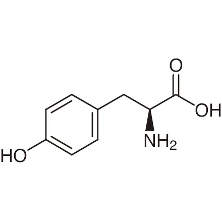 Découvrez les bienfaits de l-tyrosine pour booster votre esprit et votre endurance au quotidien.