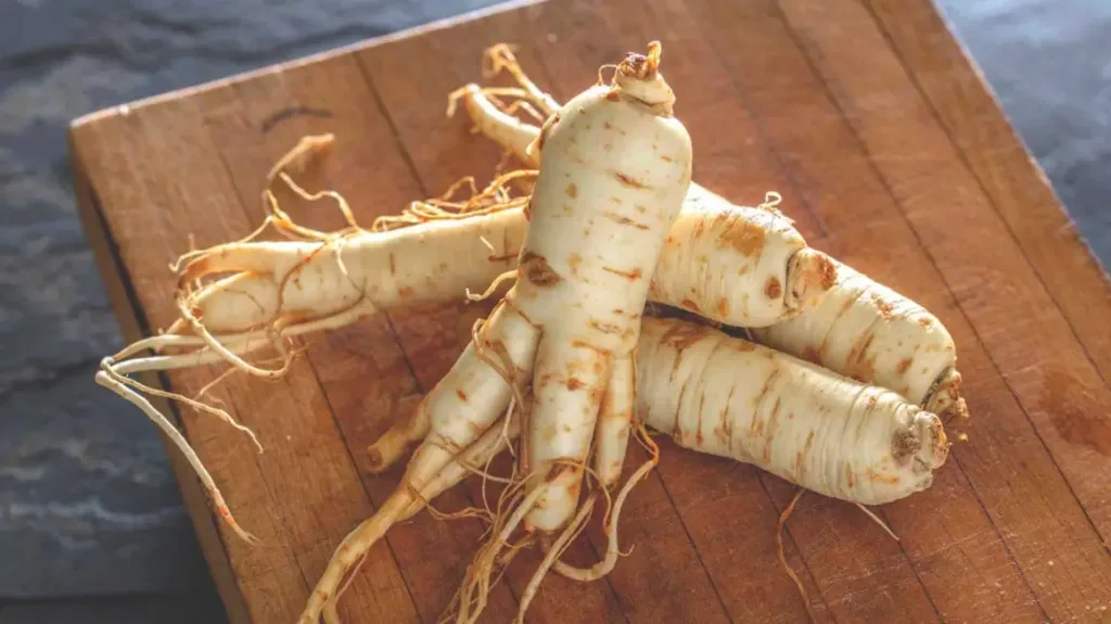 Le ginseng